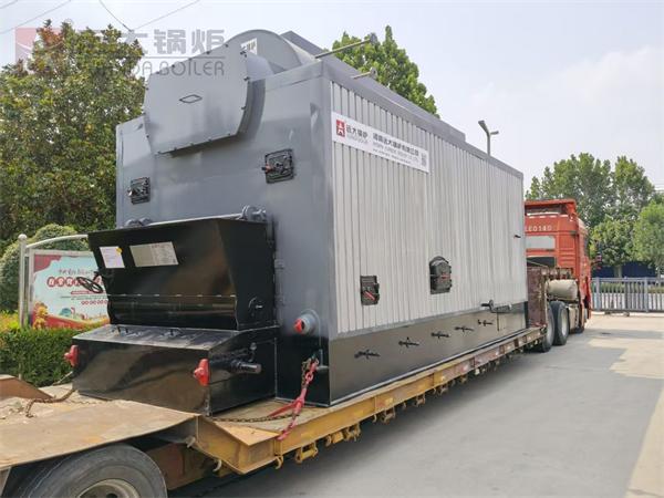 DZL型6吨生物质颗粒燃料蒸汽锅炉出口孟加拉