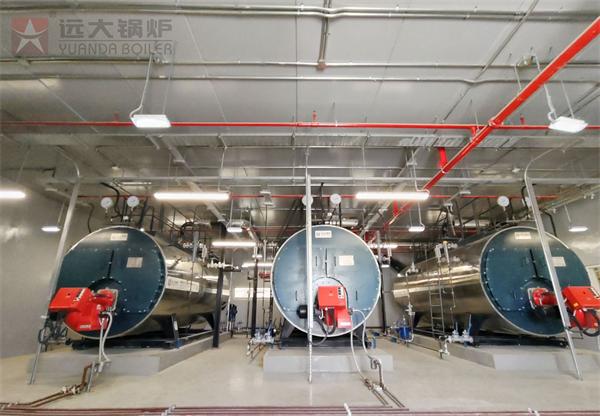 沙特阿拉伯建材厂3台WNS型5吨燃油气蒸汽锅炉