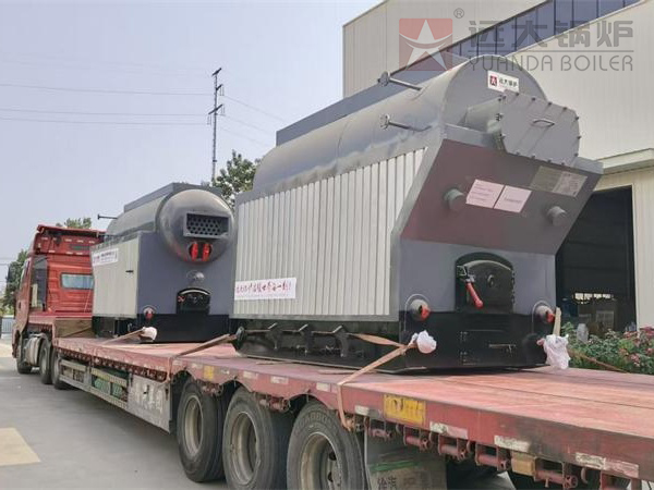 2台1吨DZH型生物质颗粒蒸汽锅炉出口肯尼亚