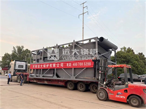 17.5MW 生物质导热油锅炉启航东南亚！远大锅炉护航全球化工生产