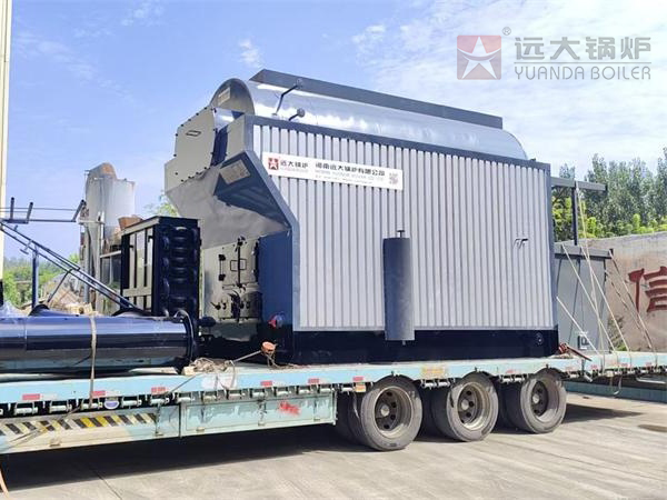 DZS型4吨生物质颗粒蒸汽锅炉出口多米尼加