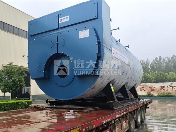 WNS��8��ȼ��������������¯���������人