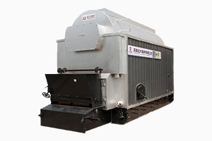 DZL系列生物质锅炉