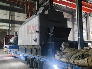 DZW型4吨生物质颗粒蒸汽锅炉出口匈牙利