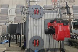 福建龙岩食品企业SZS型8吨燃气蒸汽锅炉