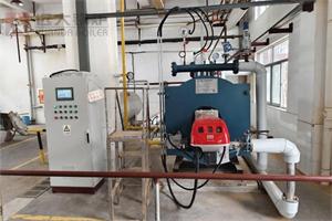 YYQW型500KW燃气导热油锅炉河南漯河食品企业