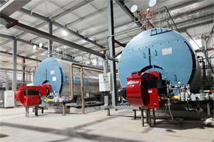 哈萨克斯坦食品厂WNS型2台10吨燃油气蒸汽锅炉