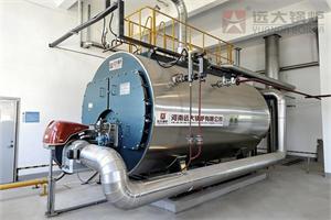 WNS型4吨燃气蒸汽锅炉安徽亳州制药企业